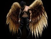 Cryptoangel