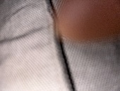 Negrone87