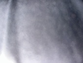 Paultor13