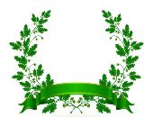 Fetti1212